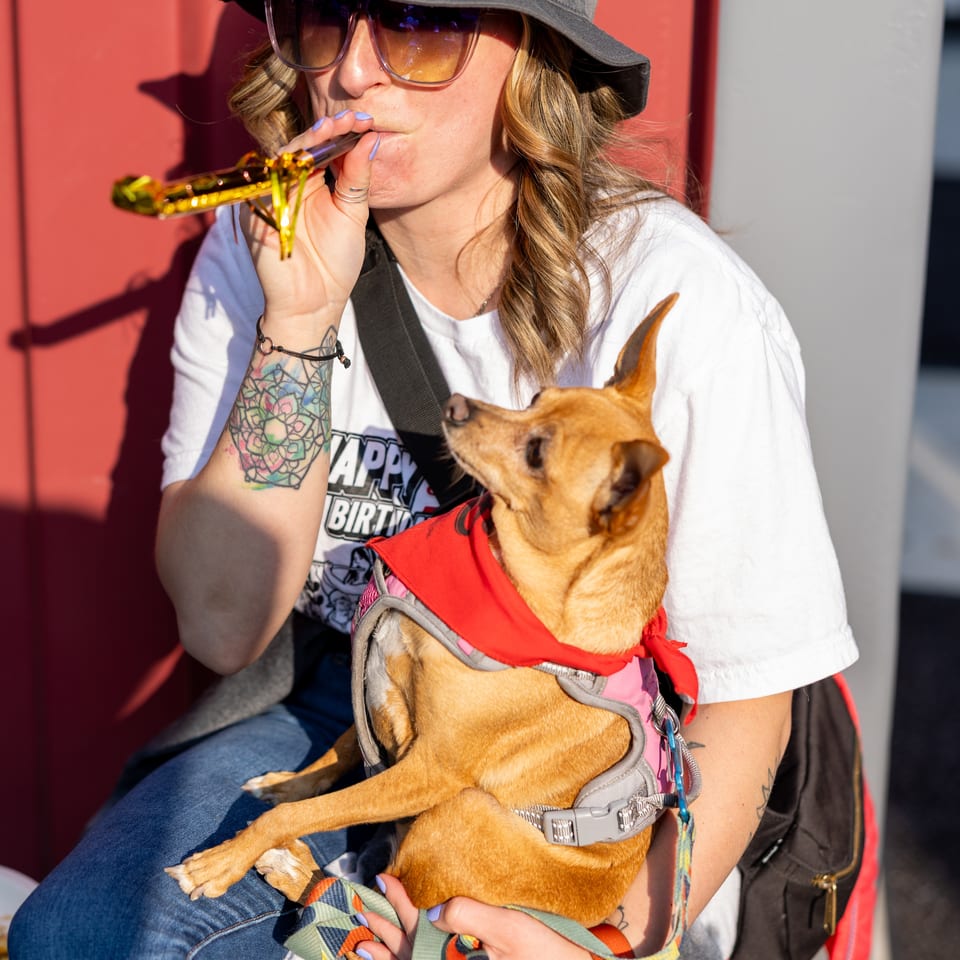 Woman in Bogey's hat and sunglasses blows a party horn, holding a small dog.